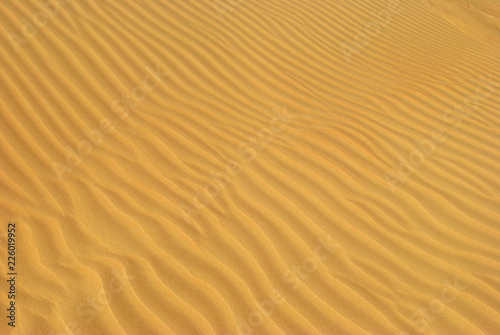 Sahara desert. Egypt © Oleg Znamenskiy