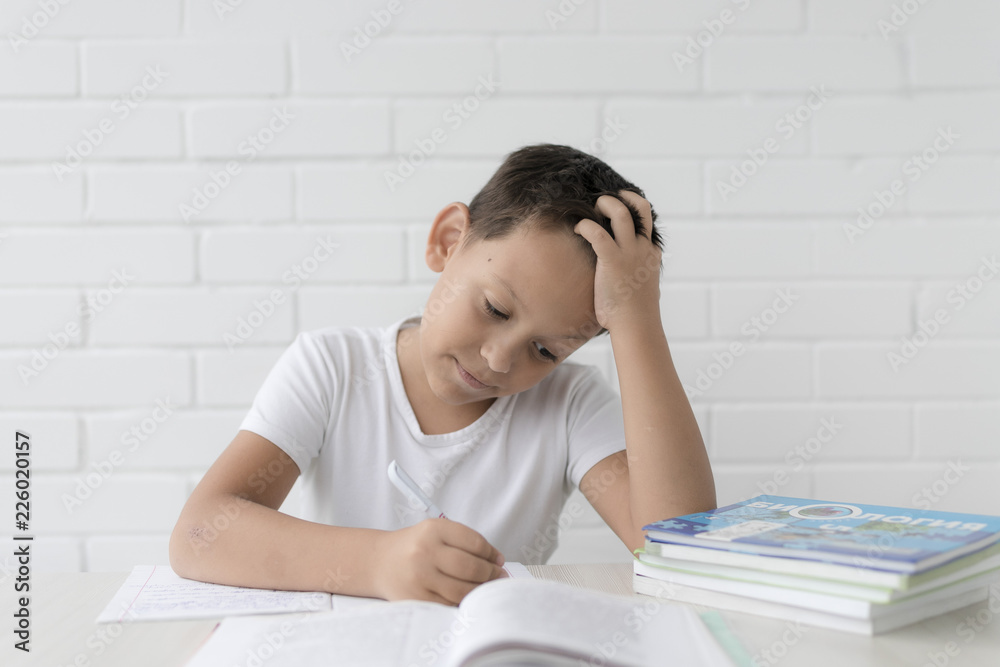 schoolboy teaches lessons, young kid, boy doing homework at home schoolboy teaches lessons, young kid, boy doing homework at home