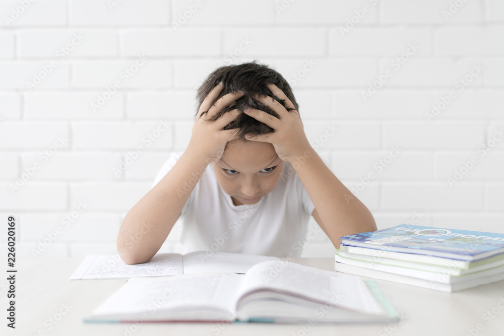 schoolboy teaches lessons, young kid, boy doing homework at home schoolboy teaches lessons, young kid, boy doing homework at home