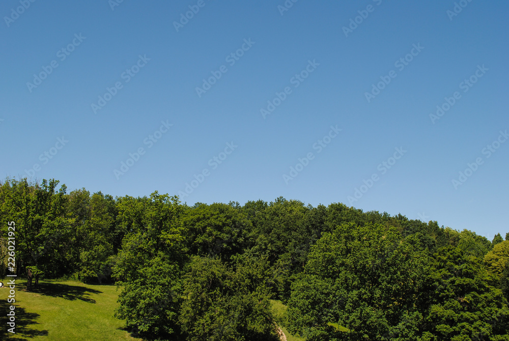 Beautiful green arboretum in the park Sofiyivka