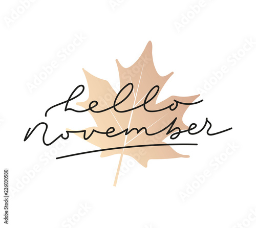 hello november Inspirational autumn poster with lettering in retro style.