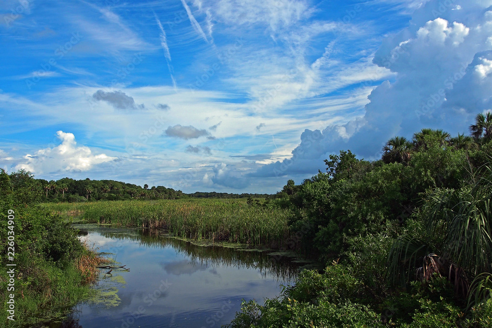 Obraz premium Guana River #1