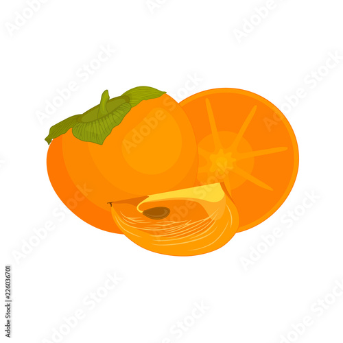 Banner with persimmon. Vector composition of whole, half and slices of fruit. Vector still life.