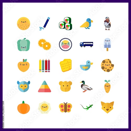 orange icon. cookie and sushi vector icons in orange set. Use this illustration for orange works.