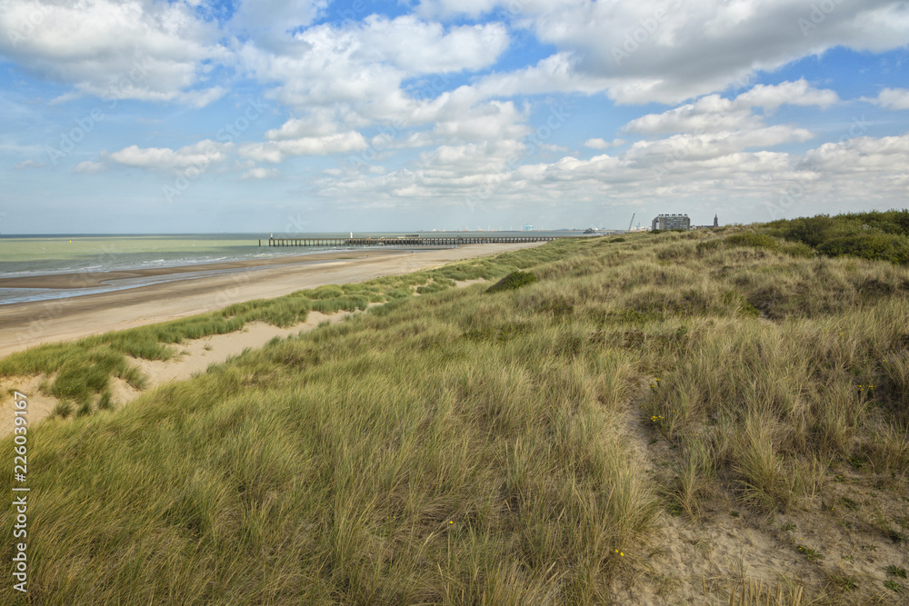 North Sea beach and dunes at Blankenberge, Belgium