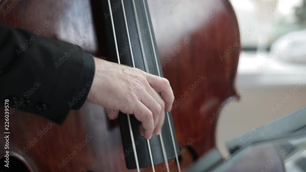 The hands of men play the big double bass and cello The hands of men play the big double bass and cello