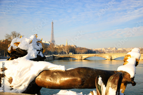 Paris under snow. View from Alexandre III Bridge. Eiffel tower at background. © Elena Dijour