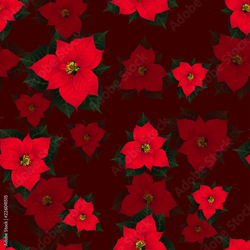Red Poinsettia Seamless on ...