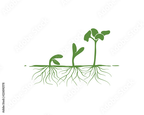 Green Sprout Seed Growth with Roots Sign Symbol logo vector