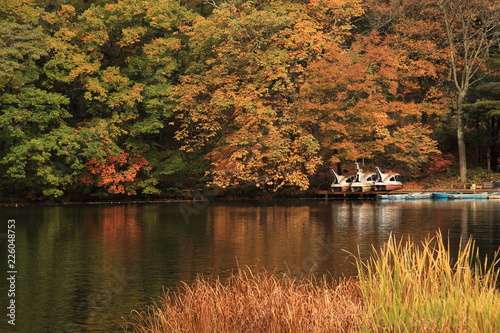 秋の湖畔のボート乗り場