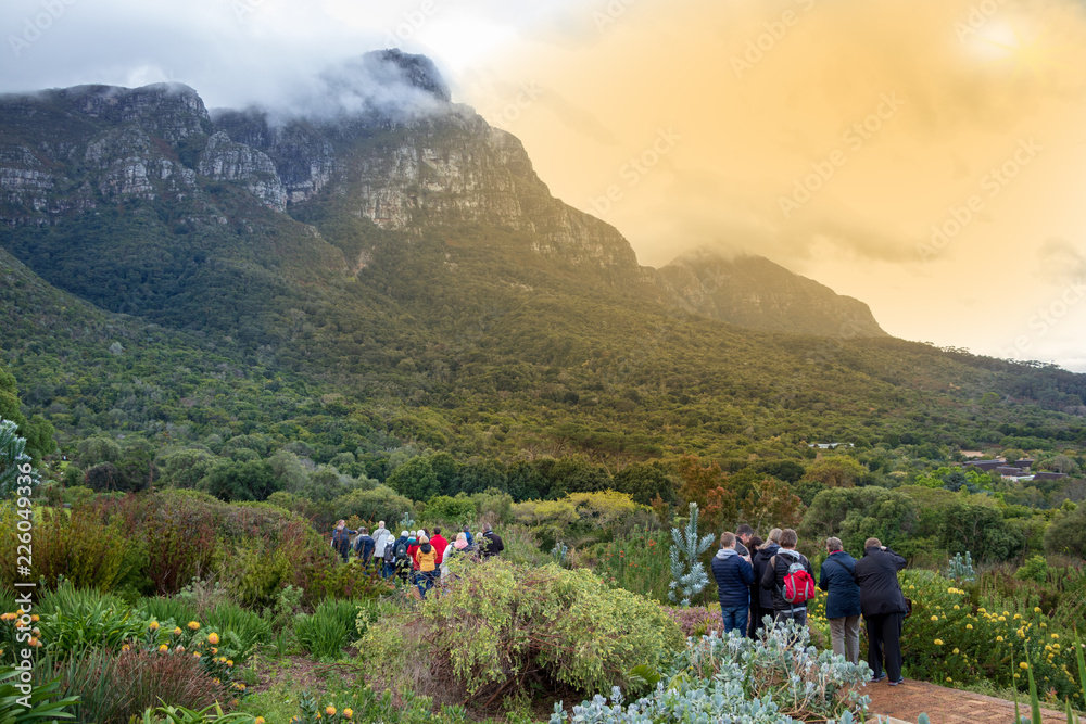 Kirstenbosch Botanischer Garten in Kapstadt