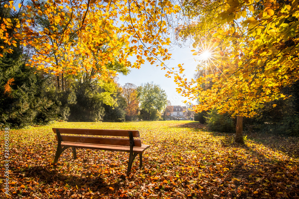 Goldener Herbst im Park auf einer Parkbank - obrazy, fototapety, plakaty 