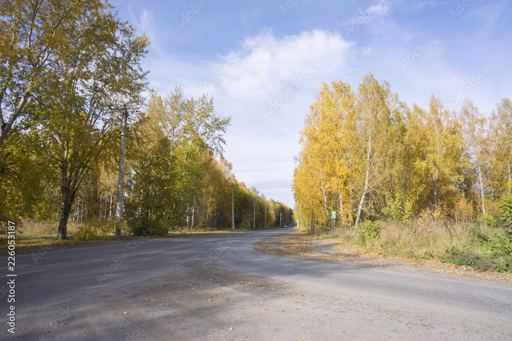 Country asphalt road with cars among the autumn yellow trees.