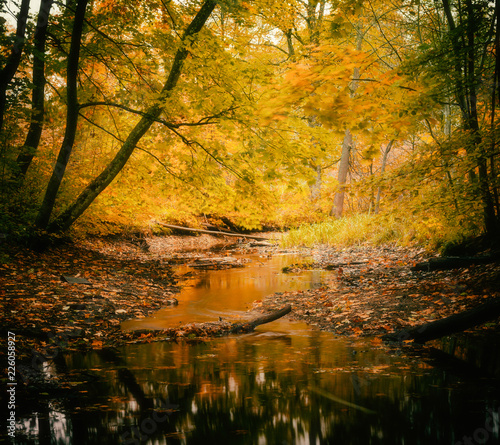 autumn river12