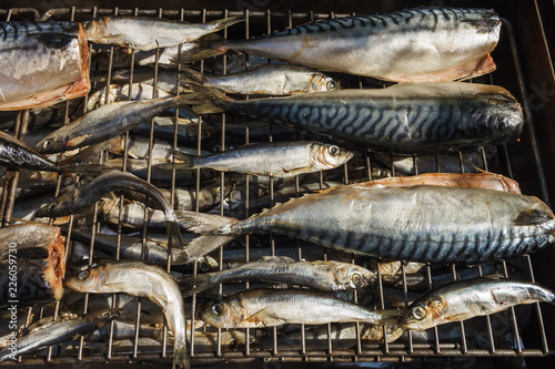 Laying fish in a smokehouse. Mackerel and Salaca photo