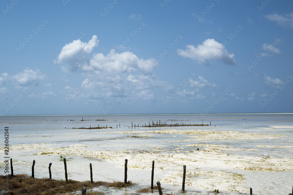 Low tide at Jambiani beach, Zanzibar