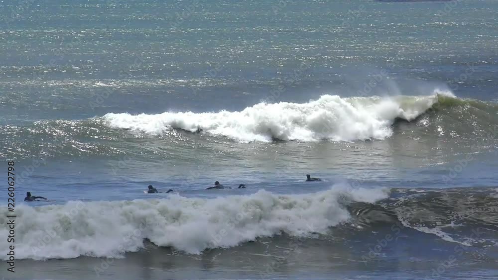Unidentified surfers at Ano Nuevo State Park, Santa Cruz County, California, USA, 2018 Unidentified surfers at Ano Nuevo State Park, Santa Cruz County, California, USA, 2018