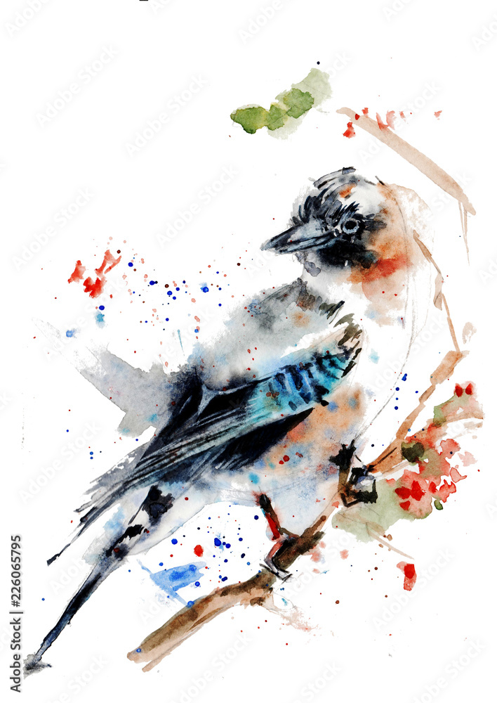 design, illustration, watercolor, background, white, bird, isolated, nature,  animal, art, beautiful, drawing, colorful, red, color, paint, blue, cute,  wild, vintage, wildlife, hand, element, feather, Stock Illustration | Adobe  Stock