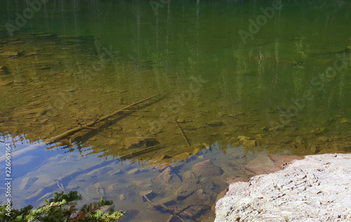 Fototapeta Naklejka Na Ścianę i Meble -  Reflective Waters