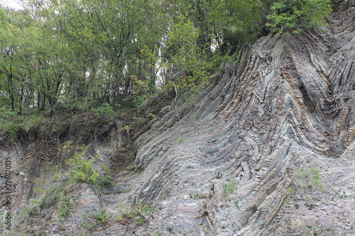 forest, nature, rock, stone