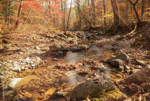 Autumn landscape, forest and creek