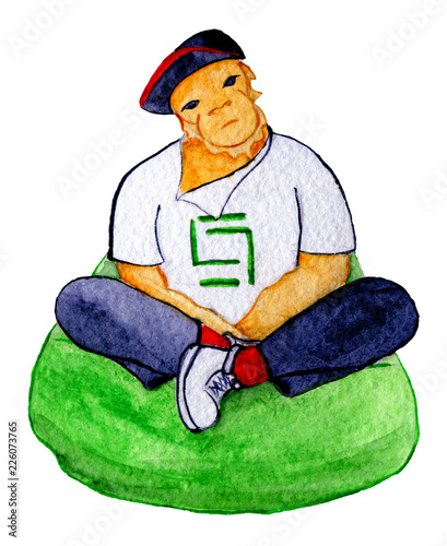 Animal in style clothes siting on green pouffe. Watercolor illustration. White background. photo