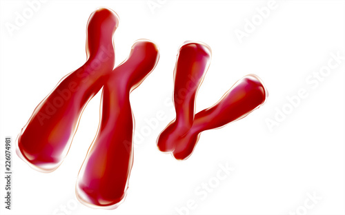 X and Y chromosome pairs or genetics. There are pairs as illustrated by medical and scientific 3D illustrations.