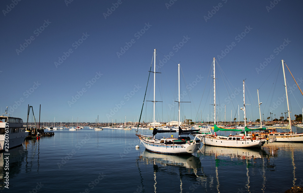 Large group of sailboats docked in a harbor in a summertime afternoon landscape