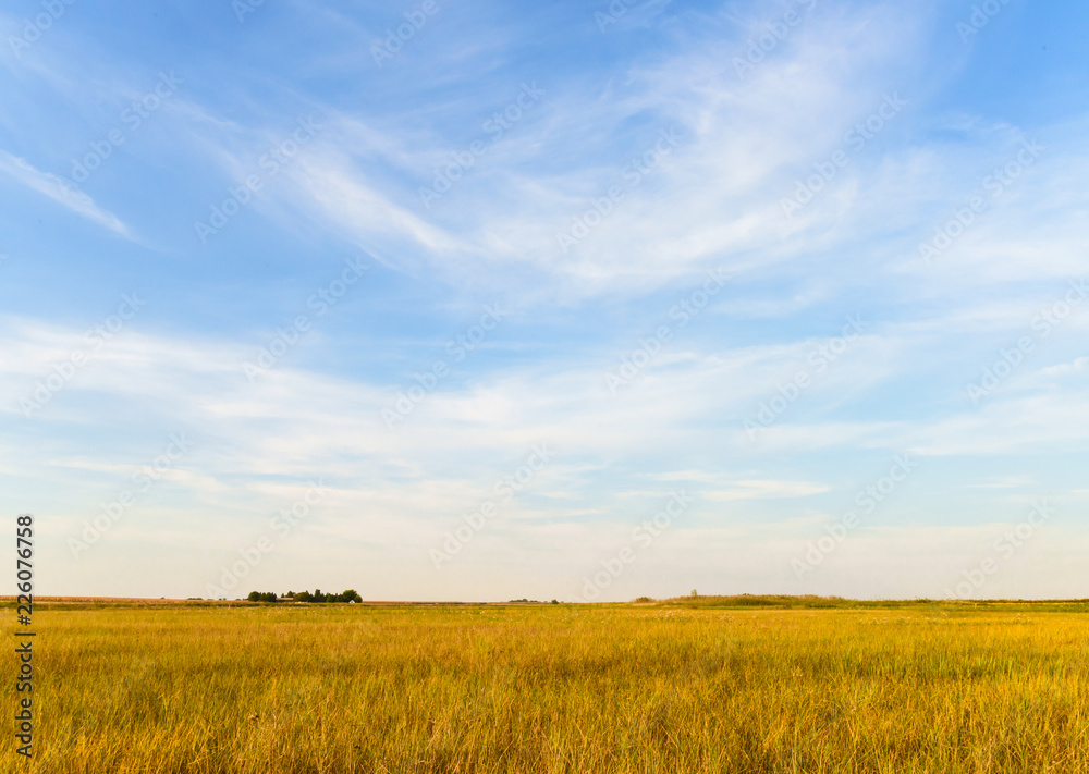 Agricultural landscape. Blue sky, meadow, crop field and farmhouse in the distance