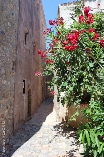 Flowers on the wall  narrow street in medieval Monemvasia  Peloponnese  Greece