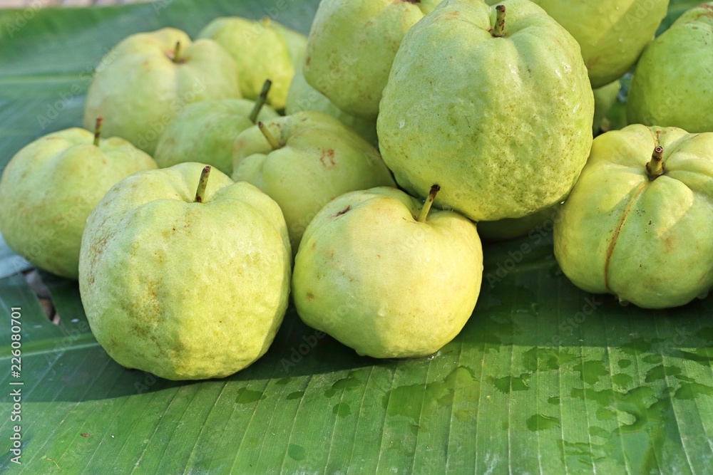 Guava fruit at street food Guava fruit at street food