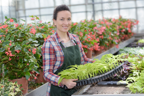 Woman in garden center holding tray of plants photo