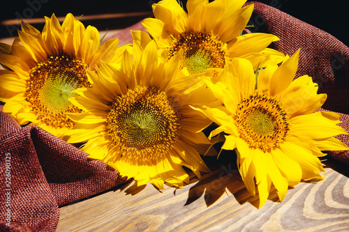 Fototapeta Naklejka Na Ścianę i Meble -  Beautiful yellow sunflower flowers on brown wooden background with sunshine