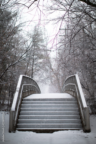 A Snow Covered Foot Bridge 01