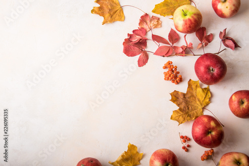 Autumn. Colored colorful leaves and ripe seasonal apples on a light background