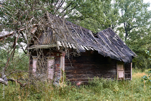 old wooden house in the forest © soleg