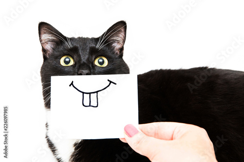 Black and white cat on white background. Smile drawing on white sticker for cat. Hand holding paper. Smiling cat