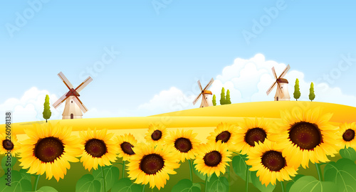 Sunflowers in a field with traditional windmills in the background