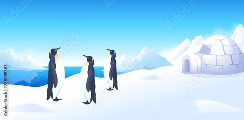 Three penguins standing near an igloo