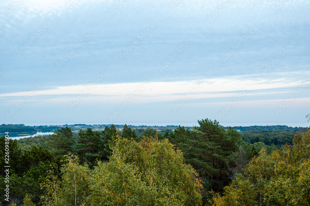 twilight during the blue hour over the autumn yellow forest