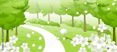 Road running through a forest