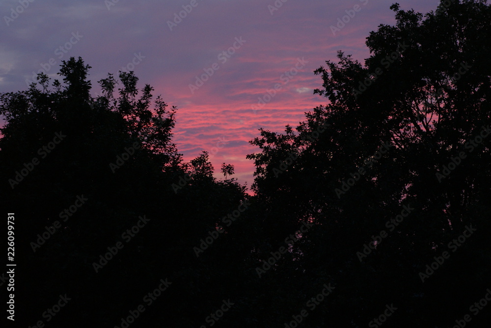 Sunset in Bremen city in summer with trees and beautifyl sky clouds Sunset in Bremen city in summer with trees and beautifyl sky clouds