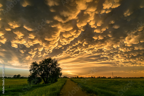 Mammatus clouds over north-central Nebraska photo