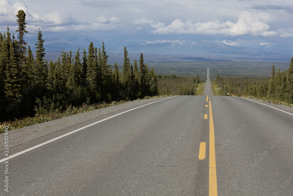 Naklejka premium Long road in Alaska