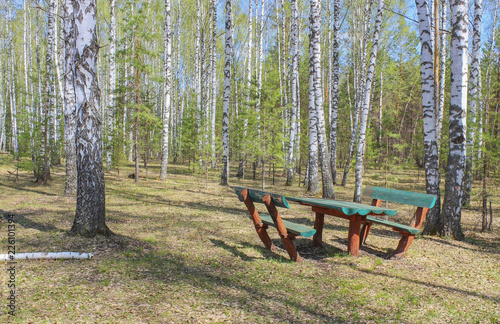 Picnic area in the forest glade © vav63