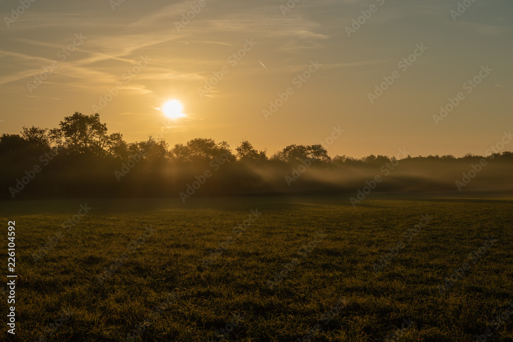 Sonnenaufgang mit Bodennebel bei Ebreichsdorf Sonnenaufgang mit Bodennebel bei Ebreichsdorf