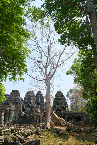 Angkor Wat Temple and Trees