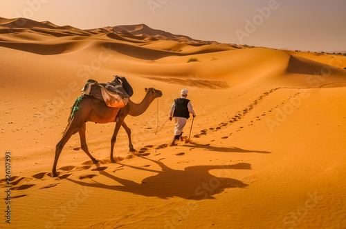 Crossing the Sahara
