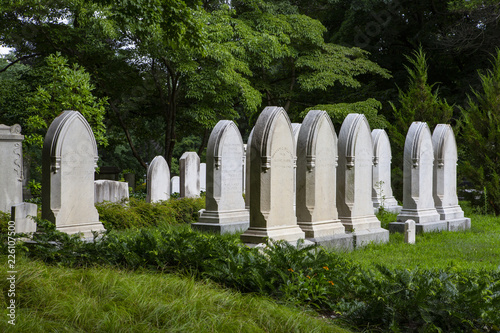 Tombstones in a cemetery