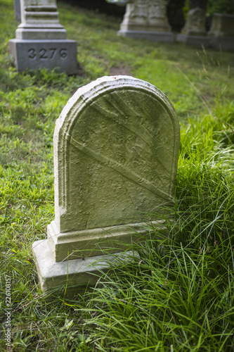 Tombstone in a cemetery